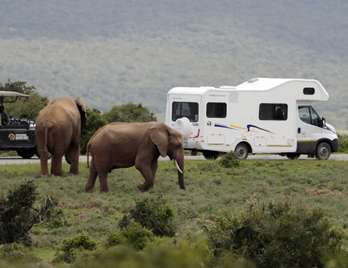 RV Rental RV  Campervan Rentals in Africa price  Motorhome Family Trip route plan